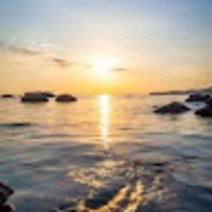 Meet your Posher, Sonia